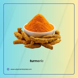 Turmeric Powder